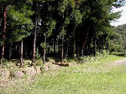 20040925 s019.jpg
